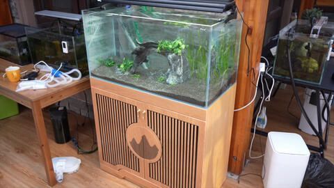 臨淄魚你相遇水族館（臨淄觀賞魚）