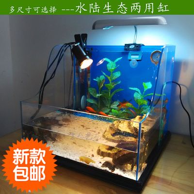 有沒有小龍魚賣：使用龍缸養金魚有幾個優勢