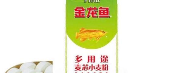 高要市南岸海洋水族魚具店 （高要市南岸海洋水族魚具店電話號碼）