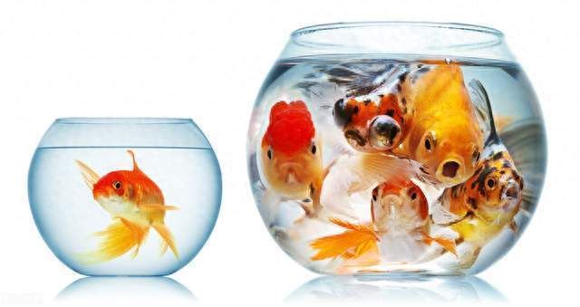 如何使魚(yú)缸里的水變清澈，魚(yú)缸水質(zhì)檢測(cè)方法