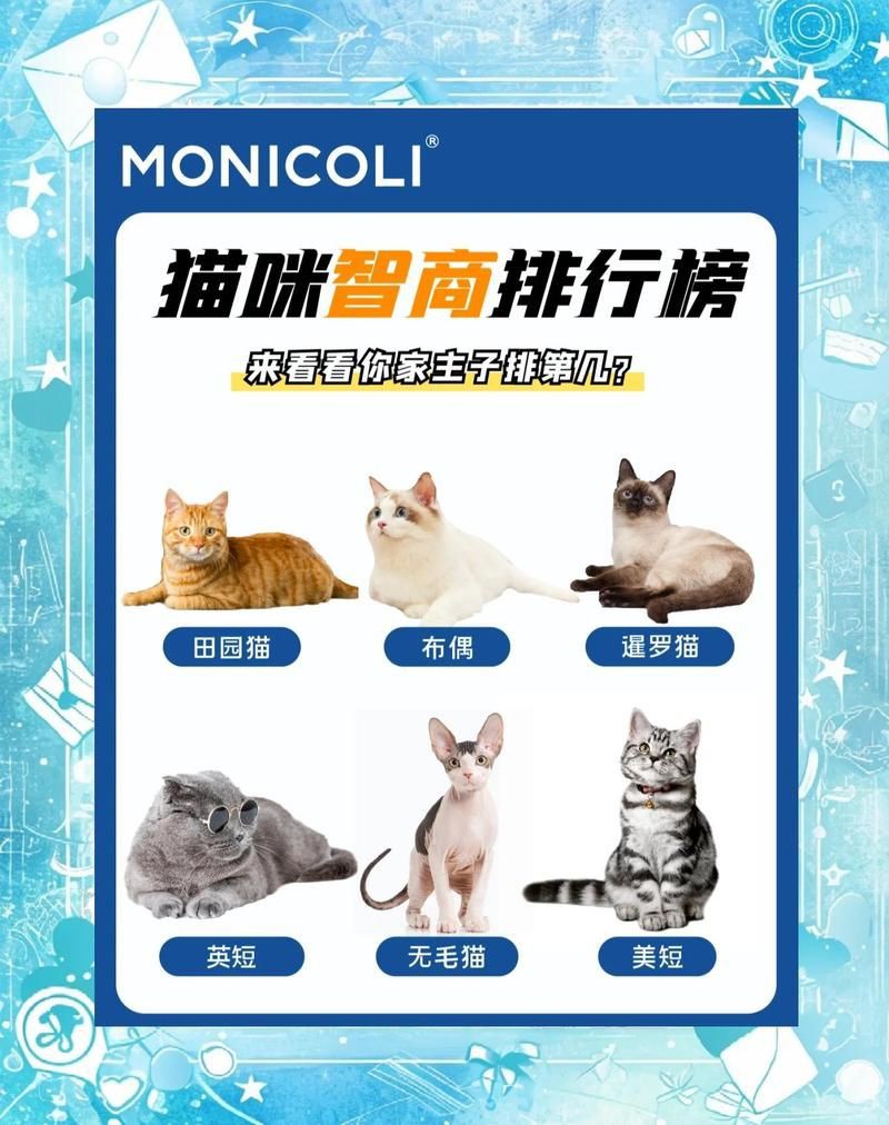 貓咪智商排名1—100，貓咪智商排行榜:最笨和最聰明的貓你養了哪種貓咪智商排行榜