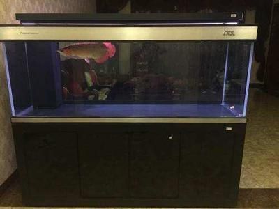 魚缸好與壞的區別圖片（關于魚缸好壞的區別，主要從以下幾個方面進行分析：）