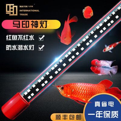 龍魚燈潛水好還是放頂處好：如何選擇適合龍魚的燈具，龍魚燈光布置的最佳實踐