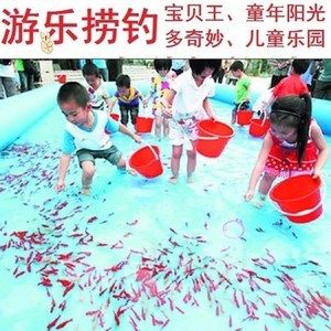 紅龍魚活體魚怎么喂養視頻：紅龍魚怎么養紅龍魚的正確飼養方法