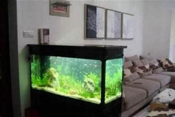 魟魚缸內(nèi)布局優(yōu)化技巧：在魚缸內(nèi)布局的優(yōu)化技巧以提高其生活質(zhì)量和觀賞效果