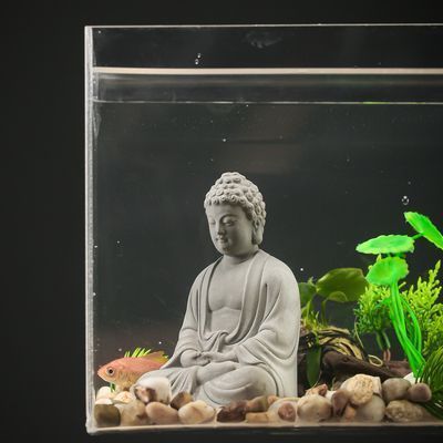 魟魚缸內(nèi)布局優(yōu)化技巧：在魚缸內(nèi)布局的優(yōu)化技巧以提高其生活質(zhì)量和觀賞效果