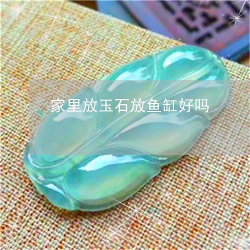 翡翠手鐲可以放在魚缸里嗎？（翡翠手鐲可以放在魚缸里，這是一個存在爭議的問題）