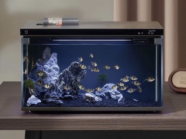 小米 智能魚缸：小米智能魚缸