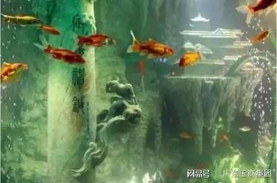 翡翠長期泡在魚缸水中怎么辦？：翡翠保養(yǎng)的科學(xué)方法除了泡水，還有很多科學(xué)的方法