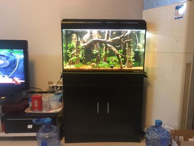 創星魚缸怎么樣：創星魚缸與同行業品牌比較,創星魚缸新款過濾器特點