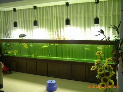 辦公室魚缸風水的歷史淵源：辦公室放魚缸的風水講究