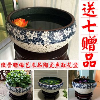 花盆改造成魚(yú)缸是一種經(jīng)濟(jì)實(shí)惠的方法讓你的魚(yú)缸獨(dú)一無(wú)二：如何將花盆改造成魚(yú)缸