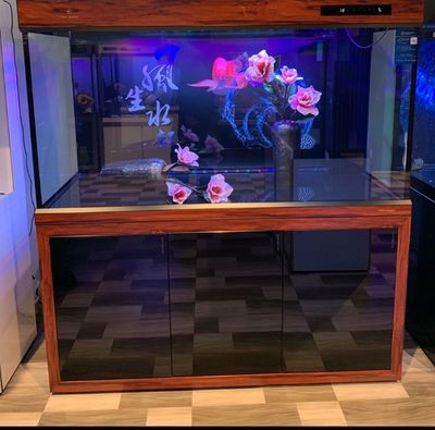 可麗愛魚缸實體店（可麗愛魚缸實體店可麗愛魚缸）