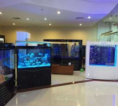 可麗愛魚缸實體店（可麗愛魚缸實體店可麗愛魚缸）