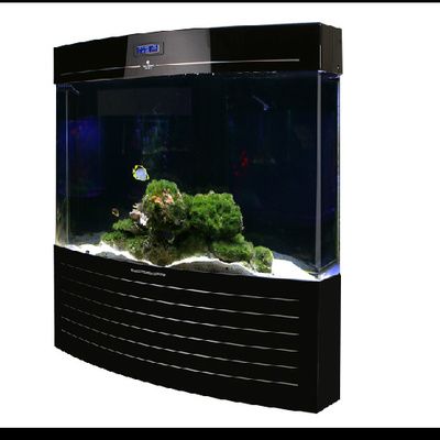 可麗愛魚缸實體店（可麗愛魚缸實體店可麗愛魚缸）