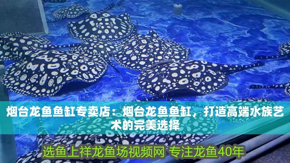 煙臺龍魚魚缸專賣店：煙臺龍魚魚缸，打造高端水族藝術的完美選擇 煙臺龍魚魚缸專賣店：煙臺龍魚魚缸，打造高端水族藝術的完美選擇 魚缸百科 第1張