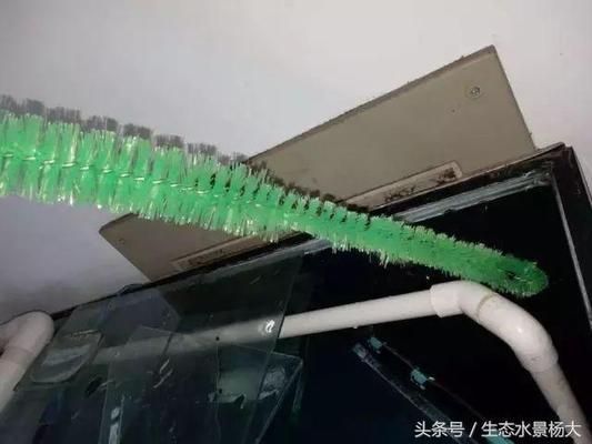 魚缸水質(zhì)管理的全面指南：如何選擇合適的魚缸底濾造浪泵