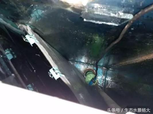 魚缸水質(zhì)管理的全面指南：如何選擇合適的魚缸底濾造浪泵