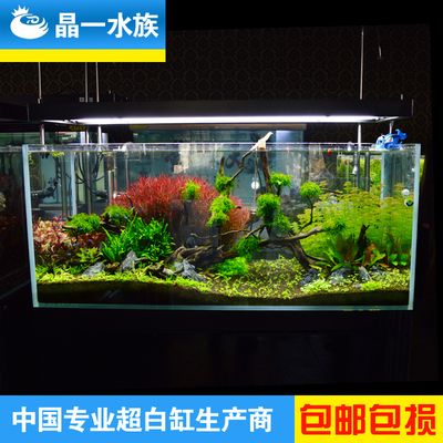 晶一魚缸是品牌嗎：晶一魚缸與其他品牌對比，晶一魚缸用戶評價匯總