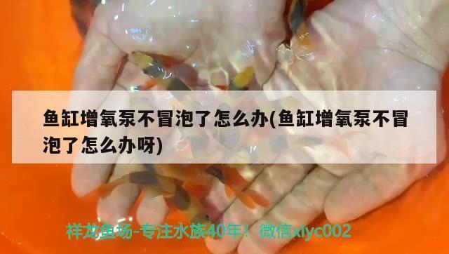 開(kāi)原市新寧水族館（開(kāi)原市新寧水族館電話）