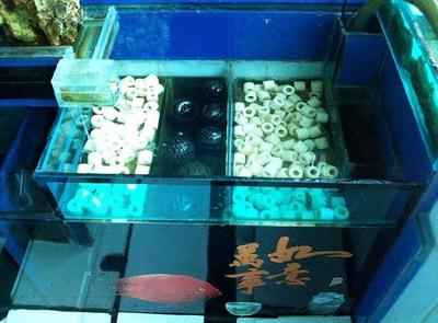 武漢市洪山區水之夢水族軟裝生活館（武漢洪山區水之夢休閑會所）