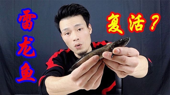 雷龍魚會不會假死