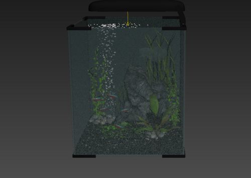 如何給魚缸換水，魚缸清潔的科學(xué)方法除了簡(jiǎn)單的換水外：如何給魚缸換水