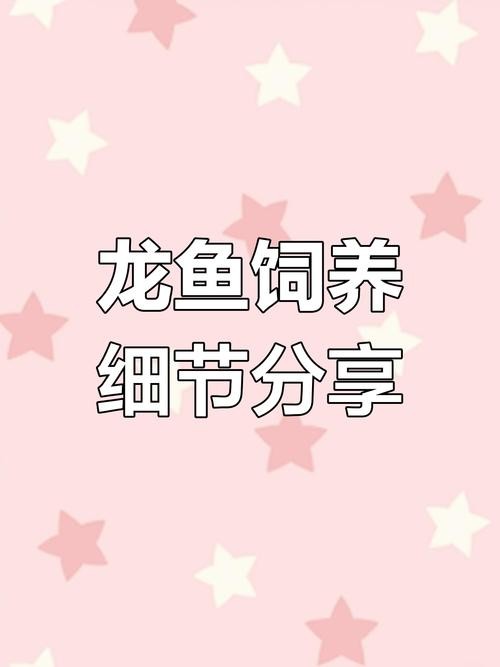 龍魚濾材哪個牌子好用又實惠安全