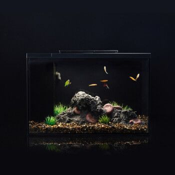 起源紀魚缸PRO燈：小佩起源紀智能魚缸pro