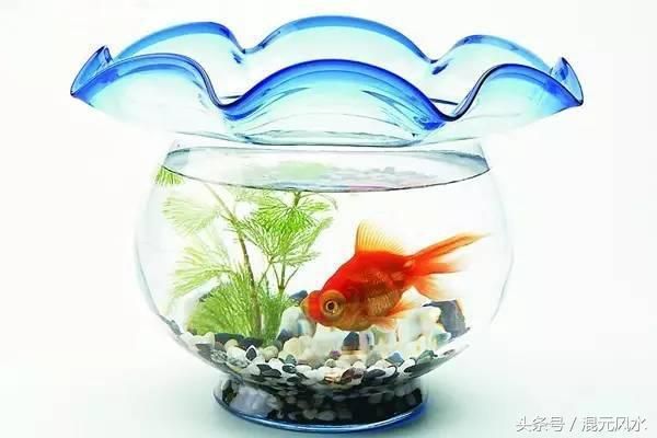 閩江魚缸容易爆缸嗎視頻講解：如何選擇高質量魚缸