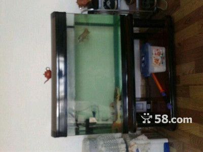 一米的魚缸多少錢一個啊:一米長的魚缸價格范圍和購買注意事項 魚缸百科 第2張 一米的魚缸多少錢一個啊:一米長的魚缸價格范圍和購買注意事項 一米的魚缸多少錢一個啊:一米長的魚缸價格范圍和購買注意事項 魚缸百科 第2張