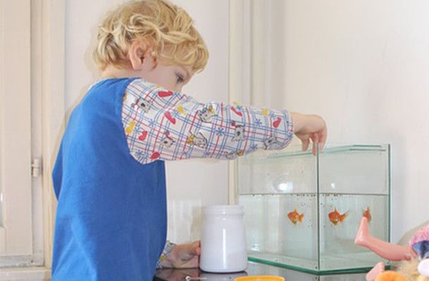 森森魚缸高端品牌（森森魚缸與佳寶魚缸對比）