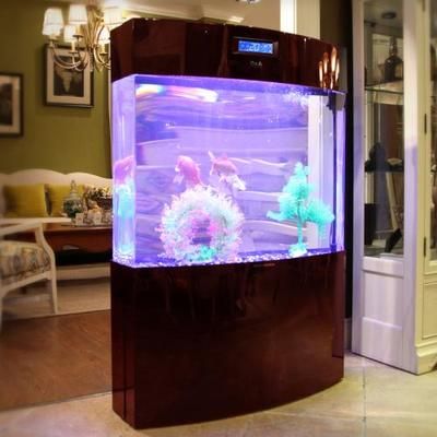 魚缸表面：魚缸油膜去除小妙招