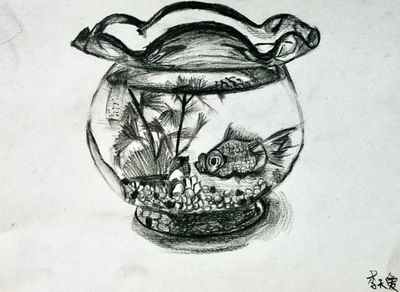簡筆畫魚缸簡筆畫魚缸繪畫教程[需手動填充]金魚魚缸繪畫教程：如何畫一個簡筆畫魚缸