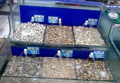 過濾魚缸水什么材料好（如何選擇魚缸過濾材料）