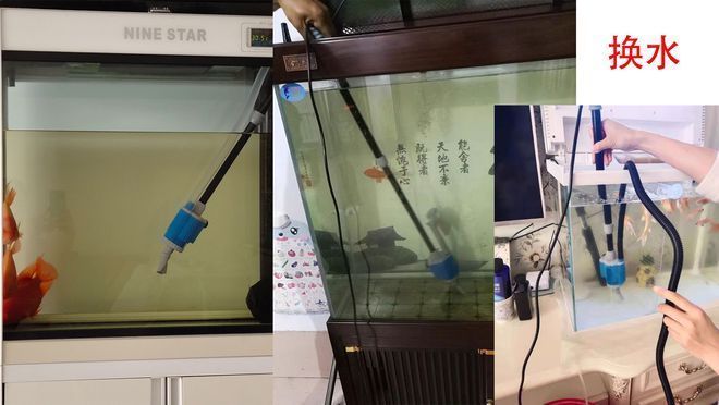 土霉素放魚缸多久水變黃，土霉素對魚缸水質的影響
