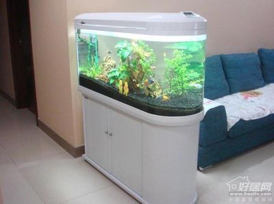 方形魚缸風水效果是指在客廳、臥室或辦公室安裝方形魚缸：方形魚缸在風水學上并不是一個理想的選擇方形魚缸 方形魚缸風水效果是指在客廳、臥室或辦公室安裝方形魚缸：方形魚缸在風水學上并不是一個理想的選擇方形魚缸 魚缸百科 第4張