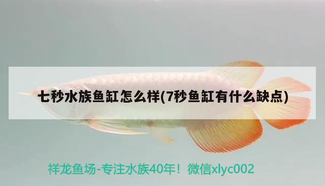 杭州城西花鳥工藝品市場清鏡水族館