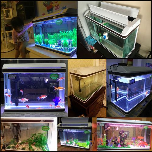 佳寶魚缸怎么樣好用嗎：佳寶魚缸與森森對比評測佳寶魚缸與森森對比評測