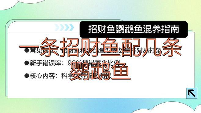 有哪些適合與紅眼白子招財龍混養的魚？