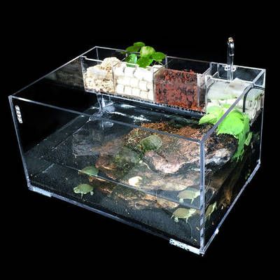 什么叫土龍魚缸養魚：什么叫土龍魚缸養魚，土龍魚缸養魚的方法和技巧和技巧