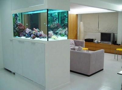 高端魚缸有哪些牌子的（“森森”牌系類水族箱榮獲浙江省名牌產品榮獲浙江省名牌產品）