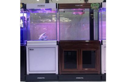 高端魚缸有哪些牌子的（“森森”牌系類水族箱榮獲浙江省名牌產品榮獲浙江省名牌產品）