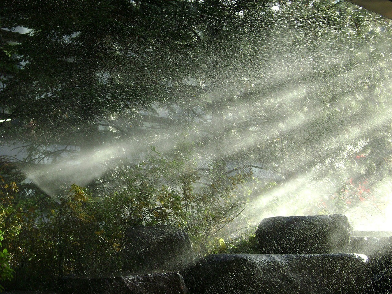 文山市永樂觀賞魚養(yǎng)殖場(chǎng)（文山市永樂觀賞魚養(yǎng)殖場(chǎng)地址）