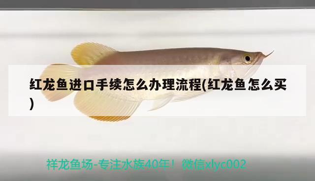 在黃島開發區哪里有賣魚缸的店（在黃島開發區哪里有賣魚缸的店鋪） 在黃島開發區哪里有賣魚缸的店（在黃島開發區哪里有賣魚缸的店鋪） 全國水族館企業名錄 第3張