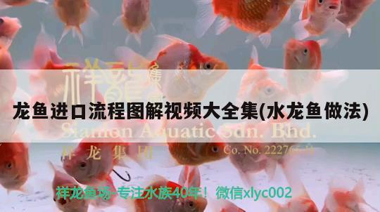 在黃島開發區哪里有賣魚缸的店（在黃島開發區哪里有賣魚缸的店鋪） 在黃島開發區哪里有賣魚缸的店（在黃島開發區哪里有賣魚缸的店鋪） 全國水族館企業名錄 第2張