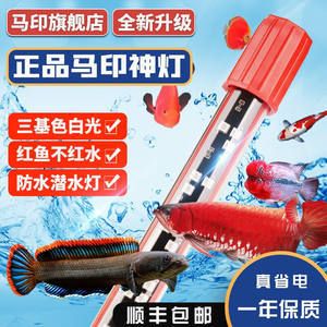紅色魚缸燈變白光的原因：為什么魚缸燈會從紅色變為白色？