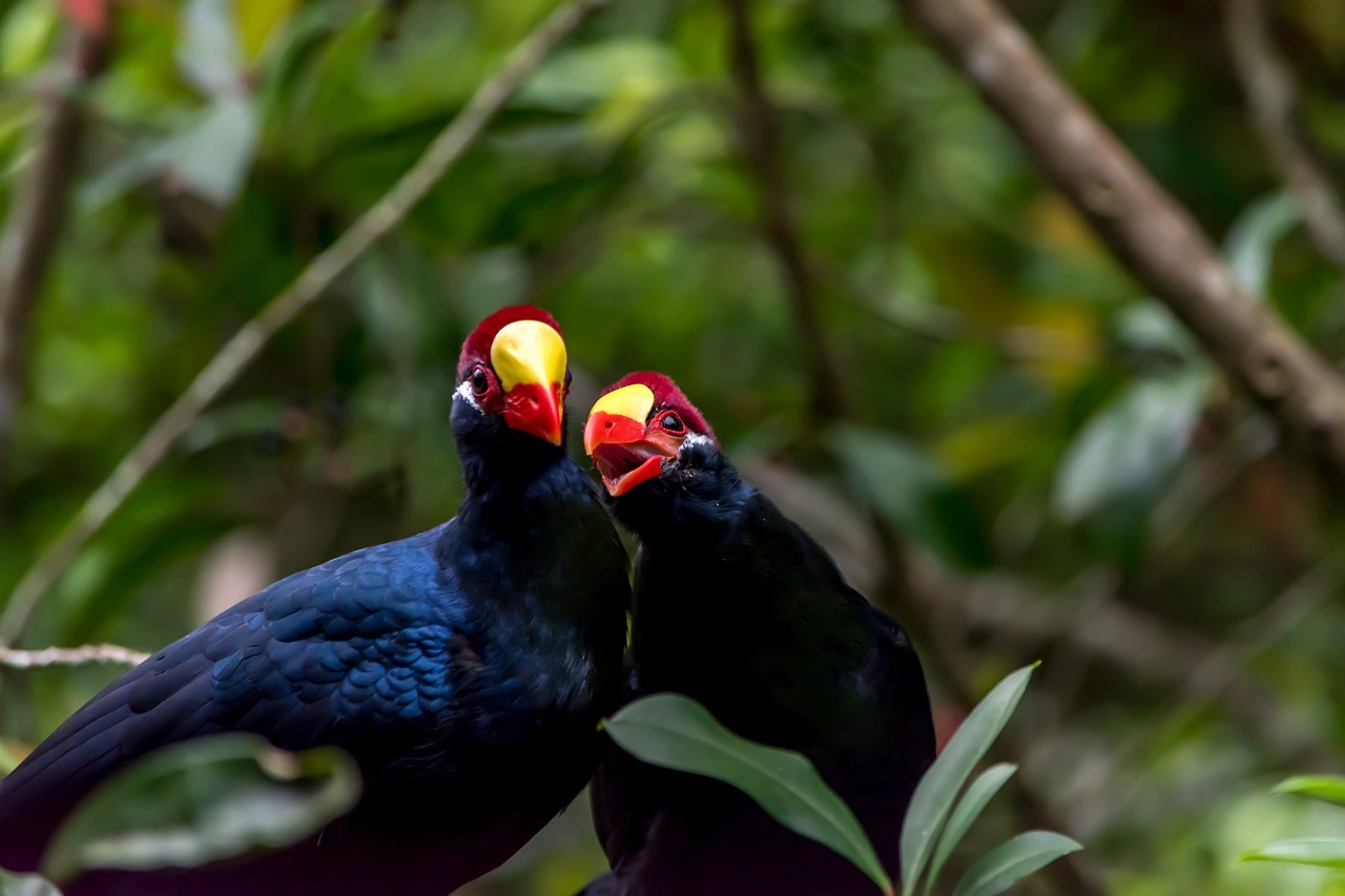 丹東市振興區毅力熱帶魚養殖場（丹東市振興區毅力熱帶魚養殖場地址）