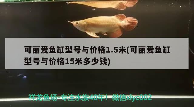 森森魚缸廠家聯(lián)系電話(森森魚缸生產(chǎn)地址) 森森魚缸廠家聯(lián)系電話(森森魚缸生產(chǎn)地址) 魚缸百科