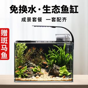 魚缸需要徹底換水嗎為什么（生態(tài)魚缸換水需要徹底換水嗎，魚缸需要徹底換水嗎）